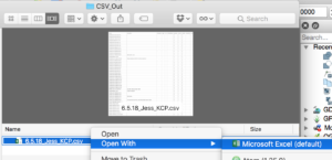 Excel CSV verification